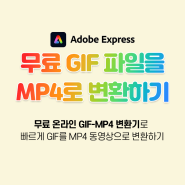 GIF파일을 MP4 동영상으로 무료로 변환하기(GIF-MP4 변환기)