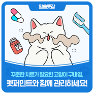 “고양이 입냄새가 심해요!” 고양이 구내염 예방법은?