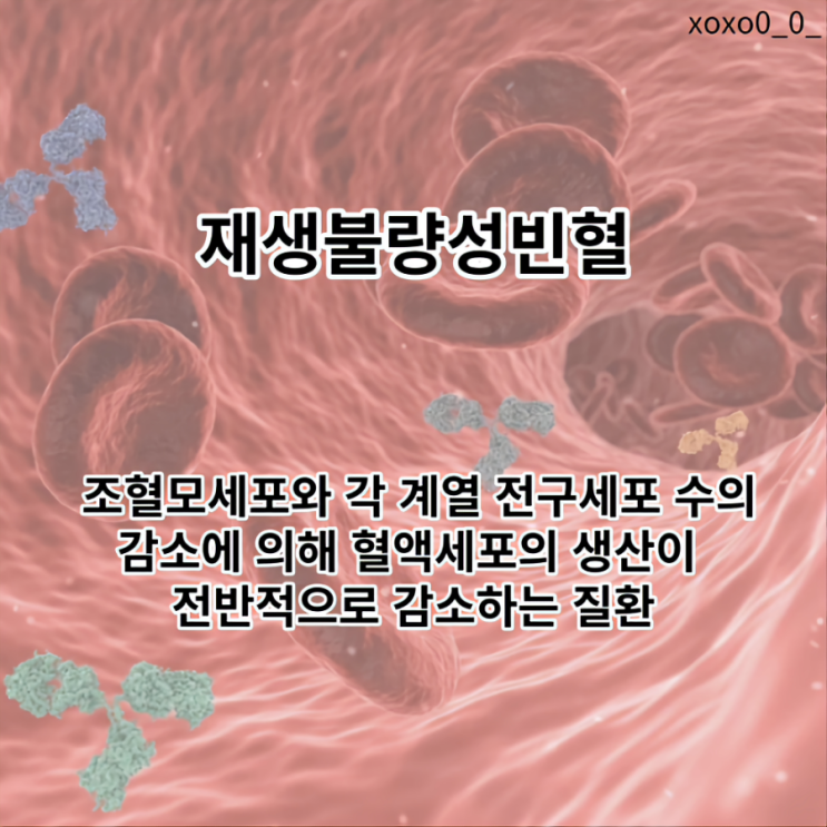 재생불량성빈혈: 원인, 증상, 치료, 예방 : 네이버 블로그