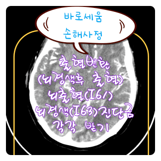 사례 : 뇌경색(I63) 이후 뇌출혈(I61), 출혈변환 각각 받기(제주도 편)[대구손해사정사] : 네이버 블로그