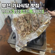 부산기사식당 맛집 개미기사식당 망미동밥집 추천