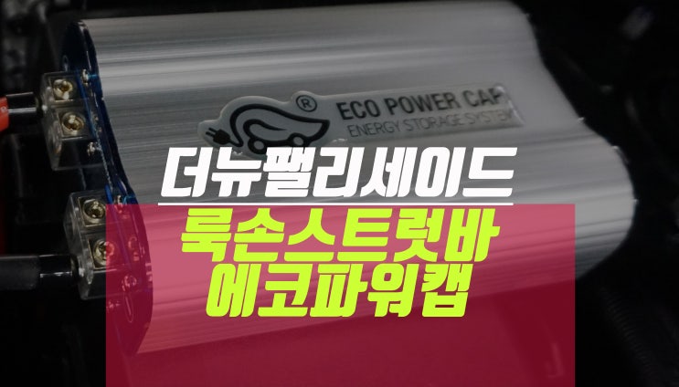 더뉴팰리세이드 룩손 스트럿바, 에코파워캡 용품 튜닝 : 네이버 블로그