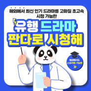 해외에서도 고화질로 빠르게 0TT 시청하기, 판다vpn과 함께라면 가능합니다!