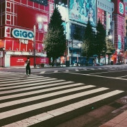 도쿄, Tokyo | 정돈된 도쿄의 밤