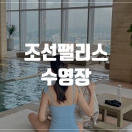 서울 강남 '조선팰리스' 스테이트룸/실내 수영장 이용 후기(사람 없는 시간추천)