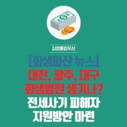 [회생파산 뉴스] 대전.광주.대구회생법원 생기나? 전세사기 피해자 지원방안 마련