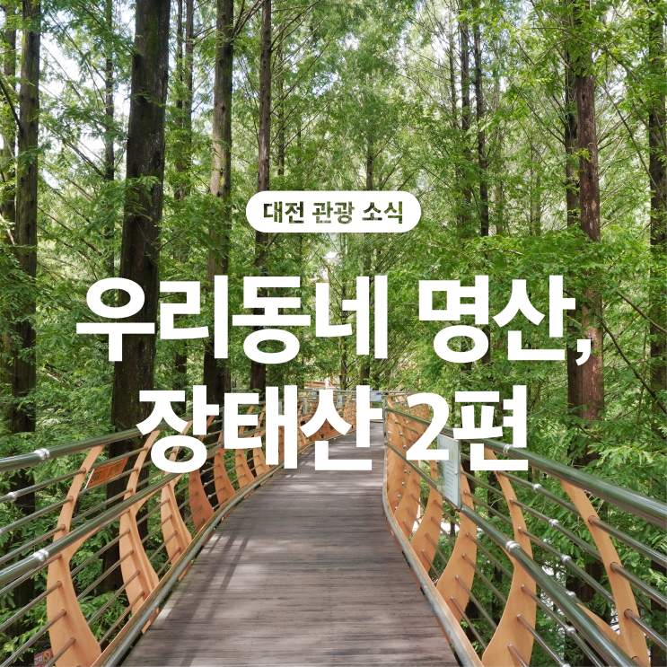 [대전 팔경] 장태산 자연휴양림 출렁다리, 전망대 코스 추천