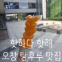 오창]핫하다 핫해_왕가탕후루 오창점(메뉴,위치,영업시간)