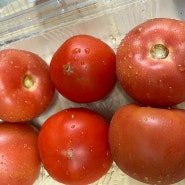 살림팁 토마토 껍질 벗기는 방법