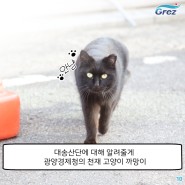 <홍보웹툰> 광양경제청의 고양이들 11화. 하동에서 제일 유명한 것은?