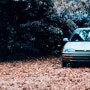 쌍용 티볼리 에어 보험 올뉴렉스턴 자동차보험 올뉴소렌토 2020 자동차보험 참고해서 살펴보세요