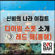 다이빙 스폿 소개 3탄 - 신비의 나라 이집트, 레드 해(홍해)