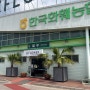 나혼자산다 키 일산 한국화훼농협 본점 화훼단지 식집사 식쇼핑 홈가드닝