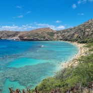 하와이 하나우마베이 힘들게 예약 바다표범 출몰 허츠렌트카 스몰 suv