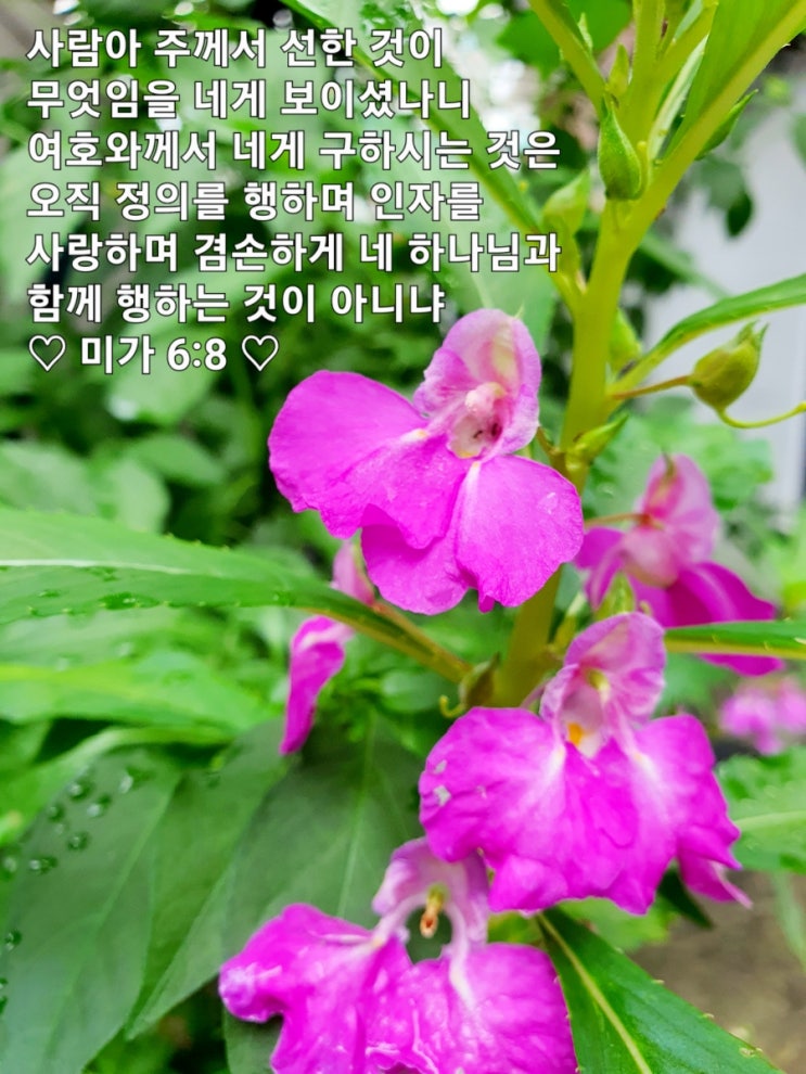 2023. 8. 16. 아침기도 : 네이버 블로그 2023. 8. 16. 아침기도 : 네이버 블로그