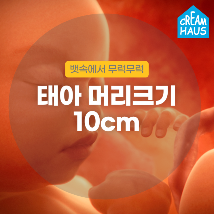 태아 머리크기, 주수별로 알아보세요, BPD 10cm 이상 : 네이버 블로그