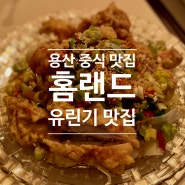 [밥집/매장] 서울 중식 맛집 용산 중식 맛집 '홈랜드'