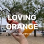 프랑스인들의 오렌지 사랑 | 어디서나 즐기는 오렌지 스퀴즈 주스 | 칼로리 괜찮은 거죠?