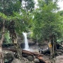 태국자유여행 아시아의 요세미티! 카오야이국립공원 다녀온후기!