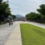 주말에 아이랑 〰️ 광활한 공원 아이들 뛰놀기 좋고 동물도 구경하는 “서울대공원”