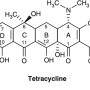 [항생제 정리] Tetracycline 계열 (감수성 및 내성, 적응증, 부작용 등)