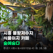 시흥 물왕저수지 카페 추천 "식물이지 카페, 숲에 숨다"