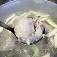 동대문 맛집 : 명동 닭한마리 시조점 솔직 후기! (주차)
