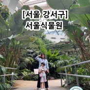 서울 데이트하기 좋은 곳 ! 서울식물원 방문
