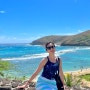 하와이 여행 #5 :: 하나우마베이 워크인 스노쿨링, Nico's Pier38 해산물 맛집, 마지막 와이키키 선셋