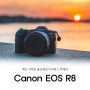 카메라 입문자를 위한 캐논 풀프레임 미러리스 카메라 EOS R8 여름 여행