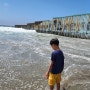티후아나 2일차) 플라야스 데 티후아나 국경 해변, 재래시장, 타코맛집 (멕시코가볼만한곳)