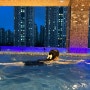 [인천 남동] 소래포구 루프탑 수영장이 있는 3성급 가성비 호캉스 파크마린호텔