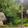 서울 낙산공원 야경 데이트 노을 맛집 혜화문