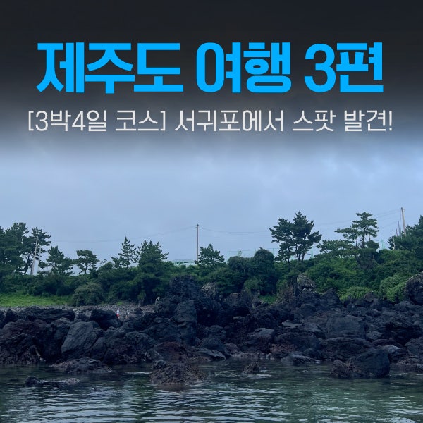 [제주도 여행 3편] 서귀포 제주한면가 안도르 더그랜드섬오름...