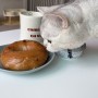 고양이 빵 먹어도 되나요? : 빵 좋아하는 고양이 메이