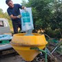 해남해돋이농장 절임배추 모종 키우는 방법 과 효소 퇴비 뿌리기