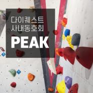 [DQ 조직문화 이야기] 클라이밍 사내동호회 "PEAK"