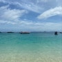 [태국] 3박4일 끄라비 여행 Day 3 :: 피피섬투어 (Phiphi Island)