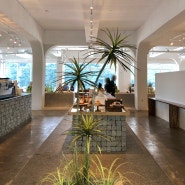 송해공원 카페 바토 플루이르 : 옥연지 뷰가 한 눈에 보이는 달성군 베이커리 카페