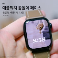 애플워치 배경화면 곰돌이 페이스 설정 공유 (귀여운 곰인형 모음)