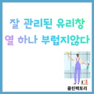 광주유리창청소,수완지구 애견샵 매장 오픈전 오염제거!