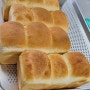 [U-베이커리] 유명한 식빵, 유명한 마들렌 (빵맛집, 식빵맛집, 마들렌맛집)