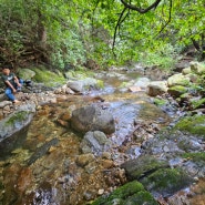 서울 근교 양평에서 프라이빗 계곡 물놀이 즐기기