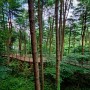 경기도 가평 산림청 명품 숲길 30선 가평 잣향기푸른숲 트레킹(4.7km, 2시간 소요)