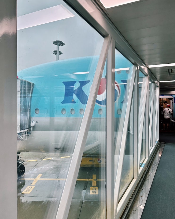 대한항공 A380 인천-뉴욕 KE081 KE082 이코노미 기내식 후기 JFK 공항 입국 심사 : 네이버 블로그