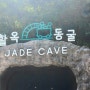 충주 제천 아이와 가볼만한 곳 '활옥동굴'