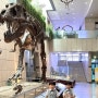 [국내/대전] 아이와 함께 대전여행, 유익하고 재미있는 지질박물관