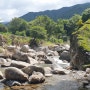 단양 소백산 비로봉 가는 길, 새밭계곡 홍가네 맛집