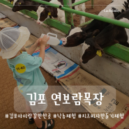 [김포]연보람목장/동물 먹이주기/낙농체험/치즈 피자 만들기 체험/김포 아이랑 갈만한곳