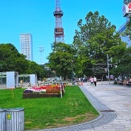 일본 삿포로 걷기좋은 오도리공원